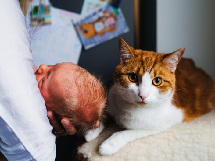 Sesja noworodkowa Mikołaja