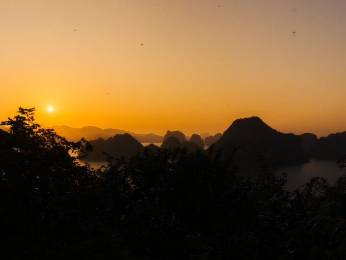 2019 Wietnam: Ninh Binh, Ha Long & Cat Ba